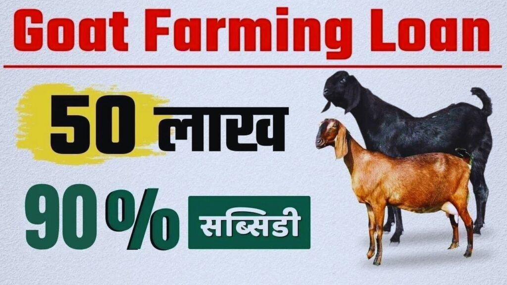 Goat Farming Subsidy Scheme 2026